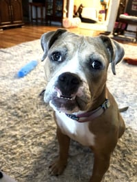 Winnie - Photo 2