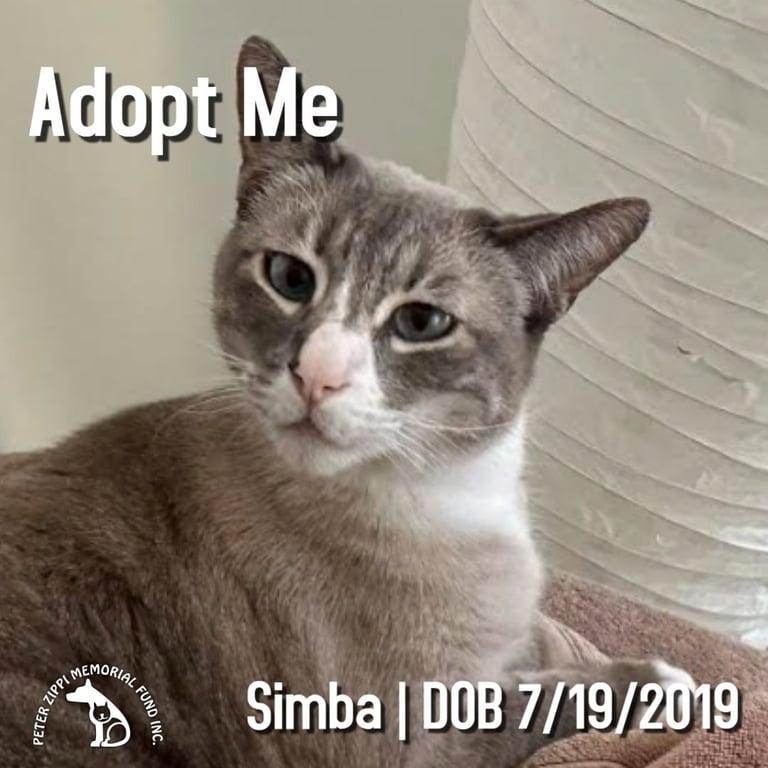 Simba Image