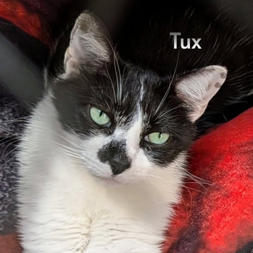 TUX