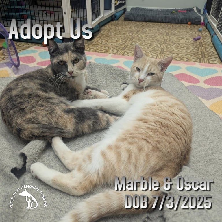 Marble & Oscar Image