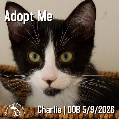 CHARLIE