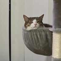 Tabitha - Photo 4