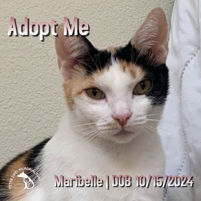 Maribelle Image