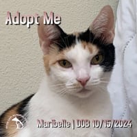 Maribelle - Photo 1