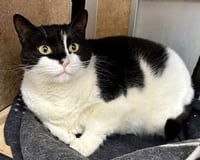 Frida 307936 - Photo 2