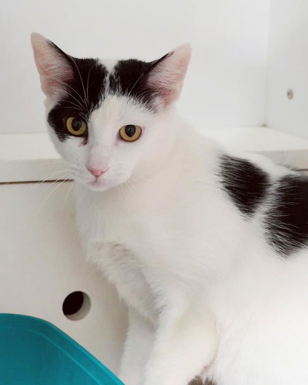 Milky Way 306542 - Photo 3