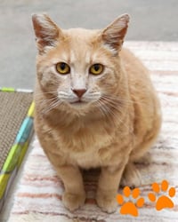 Ace 307197 & King 307198 - Photo 2