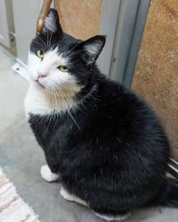 Ace 307197 & King 307198 - Photo 4