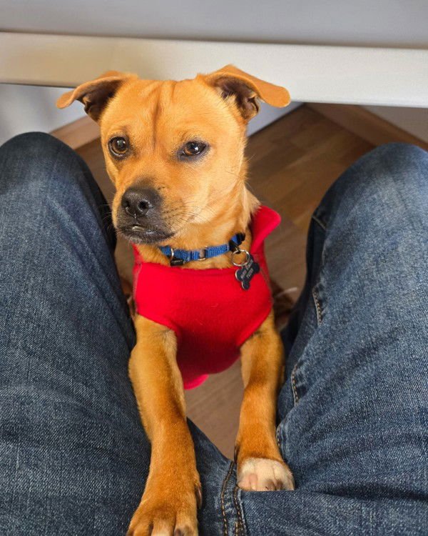 Rocky 298842 - Photo 3