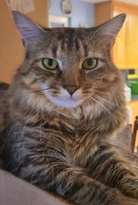 Ellie 07-4320 - Photo 1