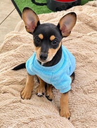 Carl - Photo 1