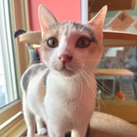 Bonnie - Photo 1