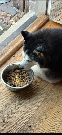 Mia - Photo 2