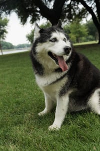 Mia - Photo 4