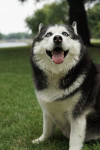 Mia - Photo 3