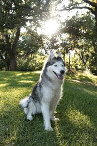 Miranda - Photo 3