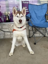 Zeus - Photo 4