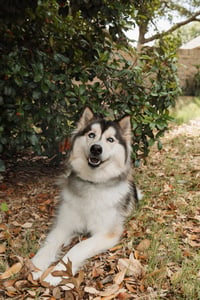 Xari - Photo 3