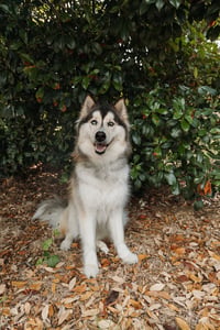 Xari - Photo 4