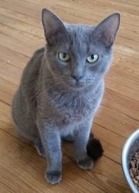 BAYLEE - Photo 4