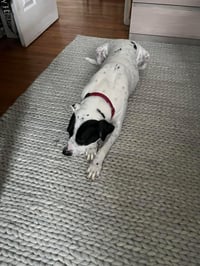 LOKI - Photo 8