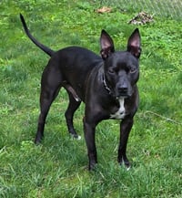 CASH - Photo 2