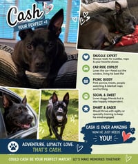 CASH - Photo 9