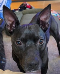 CASH - Photo 8