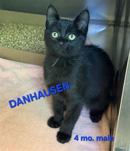 DANHAUSEN Image