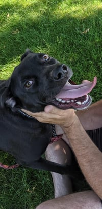 OREO - Photo 5