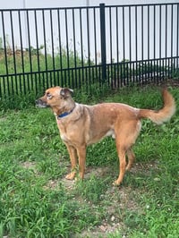 DRAKO - Photo 16