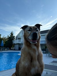 DRAKO - Photo 5