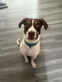 JAKE - Photo 3