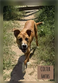 ODIN - Photo 5