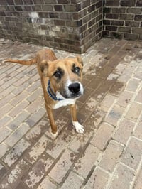 ODIN - Photo 8