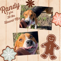 ANDY FKA RANDY - Photo 1