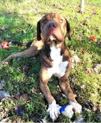 SULLY - Photo 7