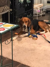 MURPHY - Photo 7