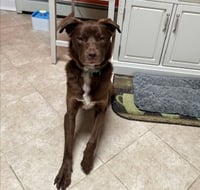 RILEY - Photo 6