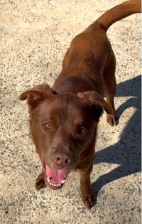 RILEY - Photo 7