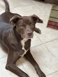 RILEY - Photo 5