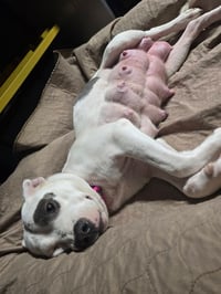 SOPHIE - Photo 7