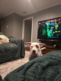 SOPHIE - Photo 13