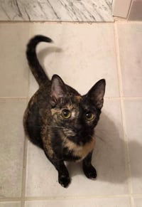 PRINCESS LEIA aka OLGA - Photo 3