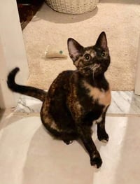 PRINCESS LEIA aka OLGA - Photo 4