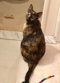 PRINCESS LEIA aka OLGA - Photo 2