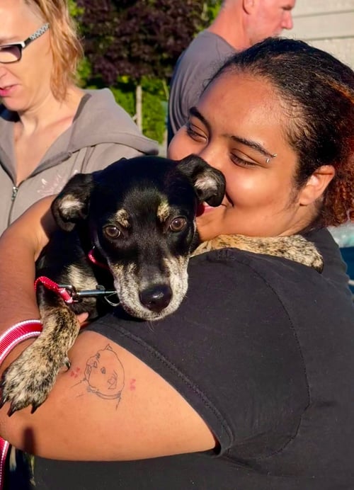 ADALINE - Feist available for adoption