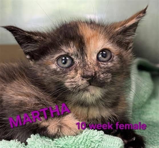 MARTHA Image