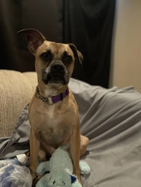 HOLLY - Photo 8