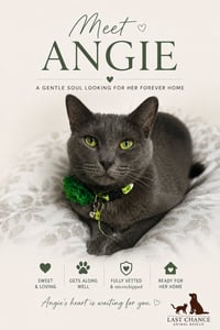 ANGIE - Photo 4